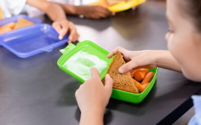 Hulpmiddel: Gezonde schoollunches voor basisscholen
